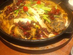 -老板恋上鱼(高新万达店)