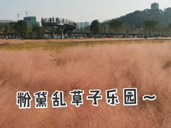 -王借岗森林公园