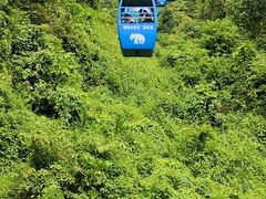 -野象谷景区