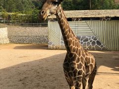 -泉州海丝野生动物世界