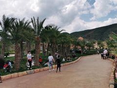 -世界恐龙谷景区