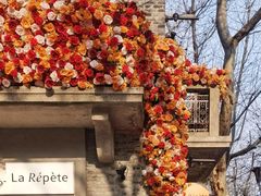 -lululemon(新天地店)