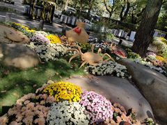 -上海共青森林公园