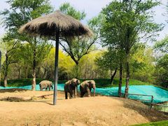 -北京野生动物园