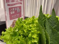 -韩时烤肉(枫蓝店)