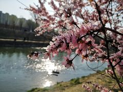 -东坝千亩湖公园