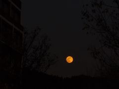 -上海交通大学(闵行校区)