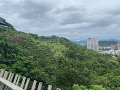 -福道