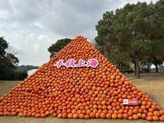-上海月湖雕塑公园