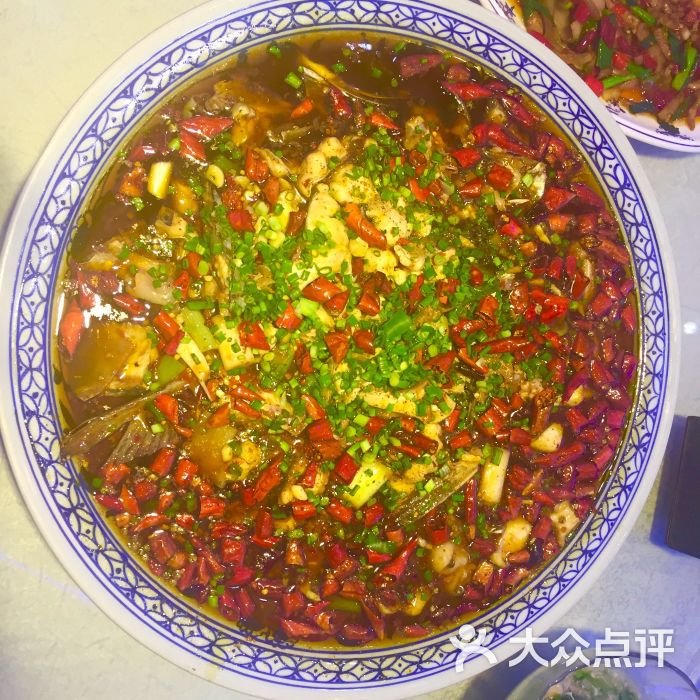 新概念来凤鱼图片 - 第1张