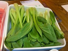 小青菜-老天桥蛙炉火锅(姑苏总店)