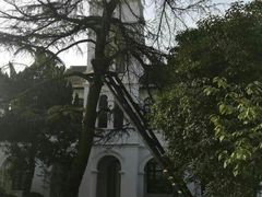 -锡师附小学(学前街校区)