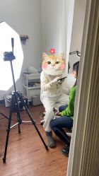 -MISS STAR·半永久纹眉·发际线·美瞳线