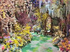 -正佳雨林生态植物园