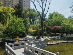 -碑林公园