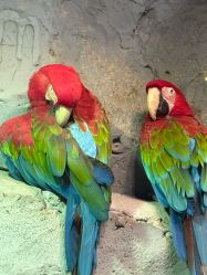 -Zoolung Zoolung动物主题公园(海信广场店)