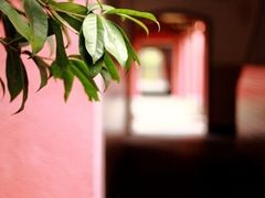 -浙江省杭州高级中学(贡院校区)