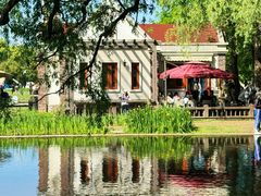 -上海共青森林公园