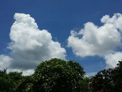 android_upload_pic-广东茂名森林公园