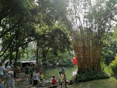 -成都市活水公园