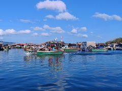 -蓝湾碧波·老字号·疍家非遗海上餐厅
