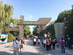 -溱湖国家湿地公园