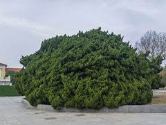 -旅顺博物馆
