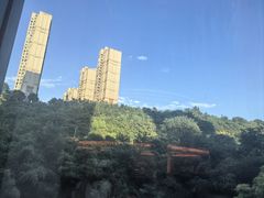 -济南喜来登酒店-盛宴自助西餐厅·综合自助