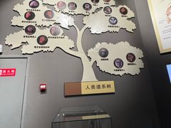 -辽宁古生物博物馆