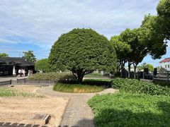 -张闻天故居