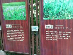 -长广溪湿地公园