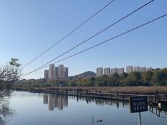 -前关湿地公园