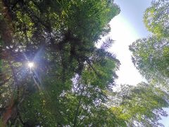 -会稽山峡洞漂流-上青古道