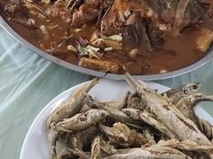 -庆岭迎宾园正宗活鱼馆