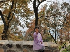 -广州市石门国家森林公园