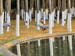 -艾溪湖湿地公园