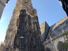 -斯蒂芬主教座堂(Stephansdom)