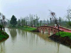 -白鹭湾湿地公园