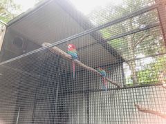 -费瑟代尔野生动物园