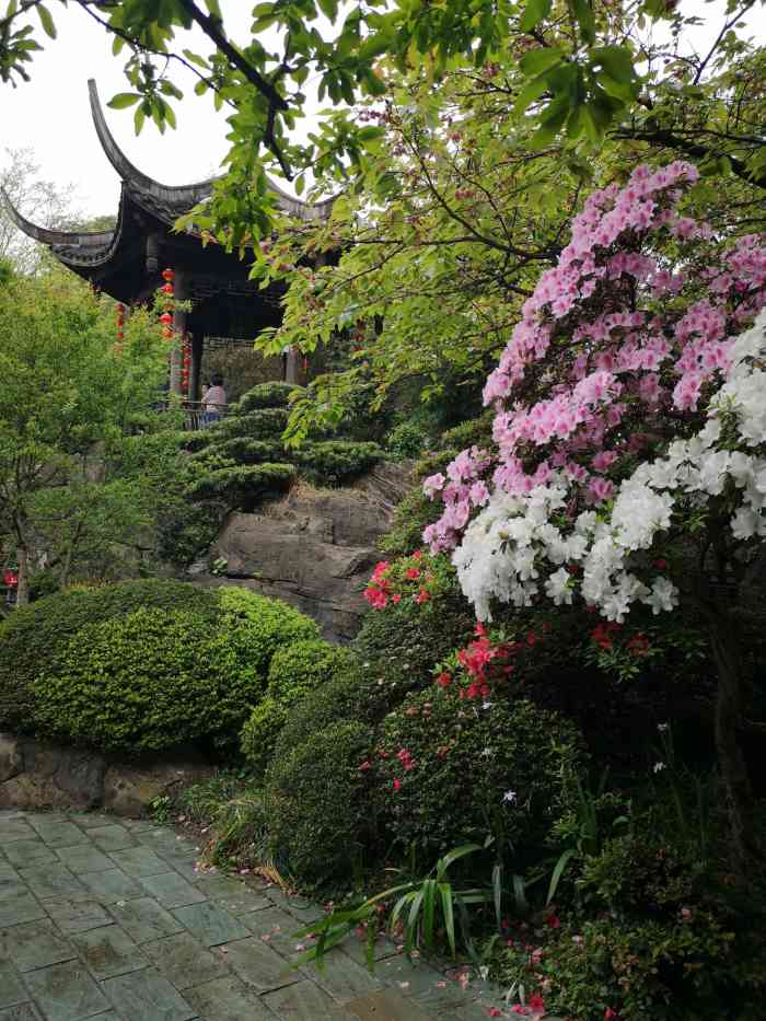 枫香园度假酒店-"一提着歌乐山,一般想到的都是白公馆,渣滓.