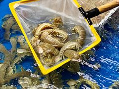 -明本海鲜大排档·鱼生海鲜烧烤宵夜(陈家祠店)