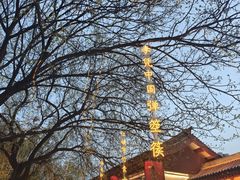 -大雁塔北广场音乐喷泉