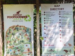 -大象粑粑造纸公园