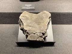 -河姆渡遗址博物馆