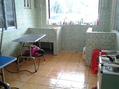 -东莞宠友24H宠物中心医院·转诊夜诊·异宠(新河北路院)