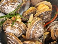 一桶黄蚬-渔娘渔家丹东海鲜(东直门店)