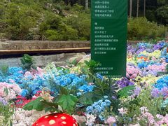 -洛阳白云山景区