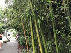 -王家大院