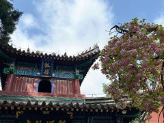 -洛阳白马寺
