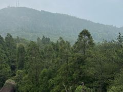 -玉苍山国家森林公园